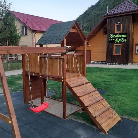 Villa Sezatoarea Lupilor Lepşa Esterno foto