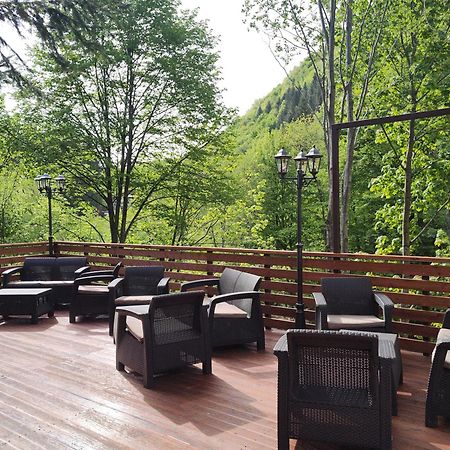 Villa Sezatoarea Lupilor Lepşa Esterno foto