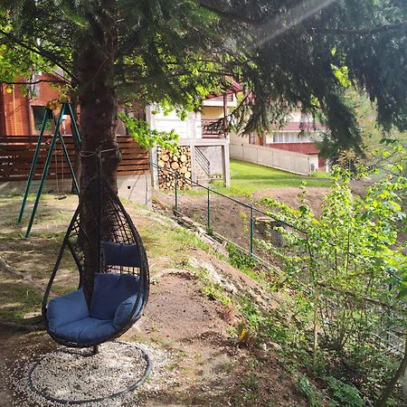 Villa Sezatoarea Lupilor Lepşa Esterno foto