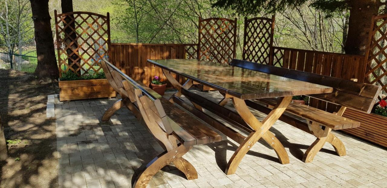 Villa Sezatoarea Lupilor Lepşa Esterno foto