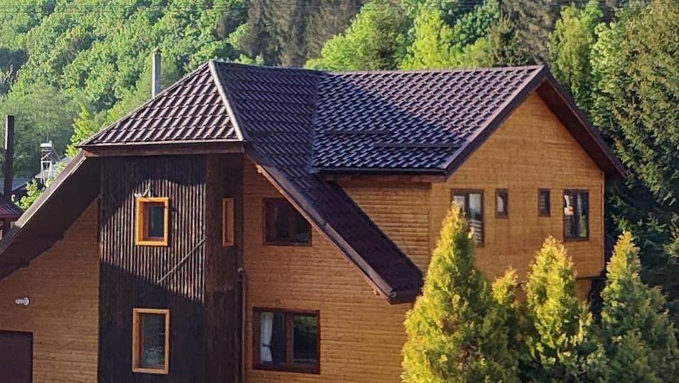 Villa Sezatoarea Lupilor Lepşa Esterno foto
