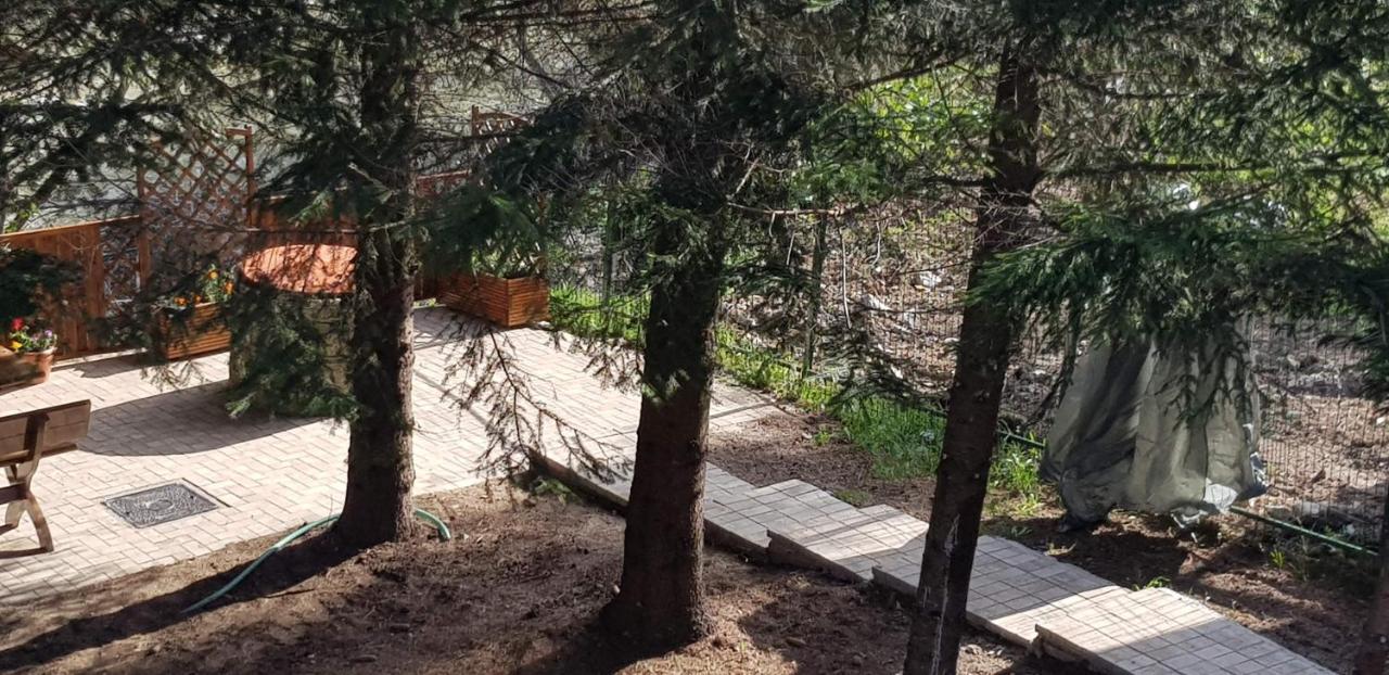 Villa Sezatoarea Lupilor Lepşa Esterno foto