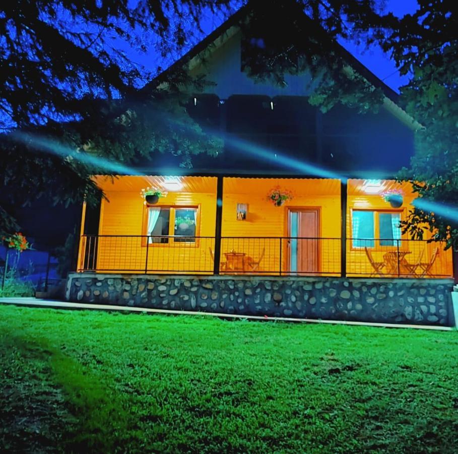 Villa Sezatoarea Lupilor Lepşa Esterno foto