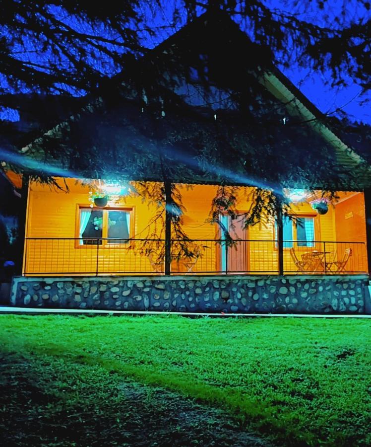 Villa Sezatoarea Lupilor Lepşa Esterno foto