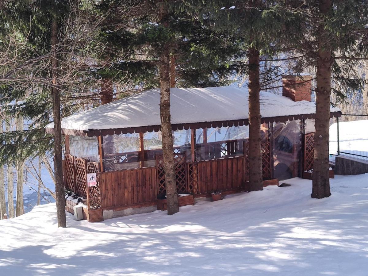Villa Sezatoarea Lupilor Lepşa Esterno foto