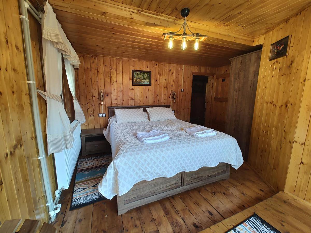 Villa Sezatoarea Lupilor Lepşa Esterno foto