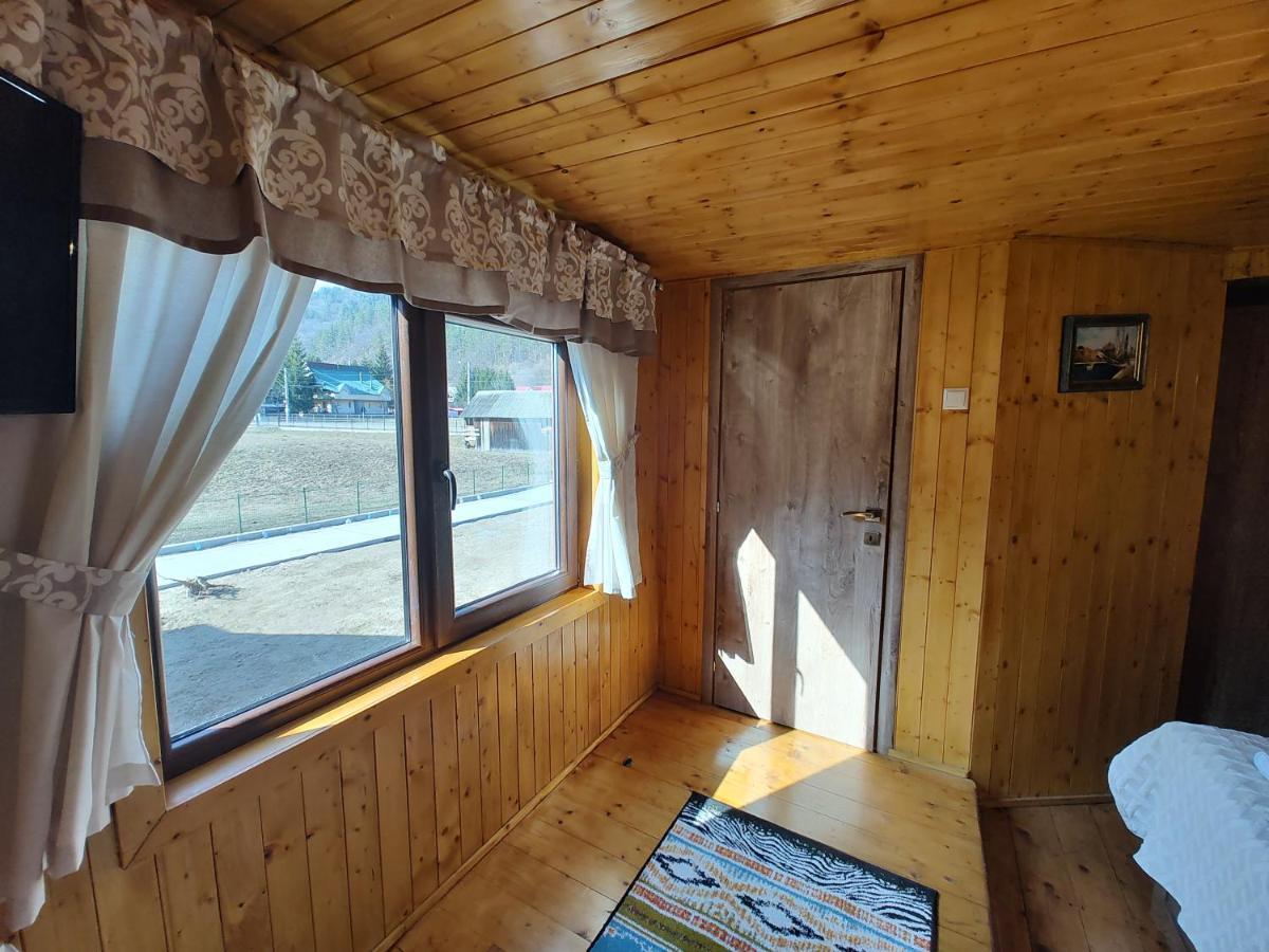Villa Sezatoarea Lupilor Lepşa Esterno foto