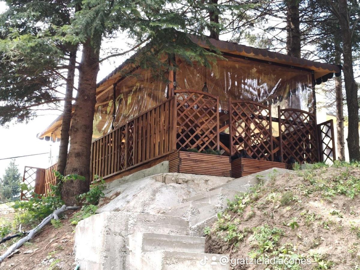 Villa Sezatoarea Lupilor Lepşa Esterno foto