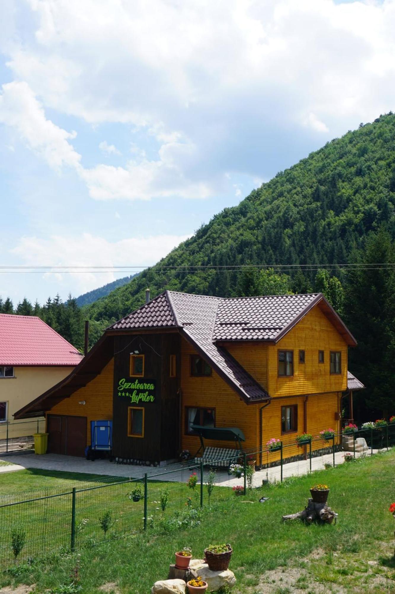 Villa Sezatoarea Lupilor Lepşa Esterno foto