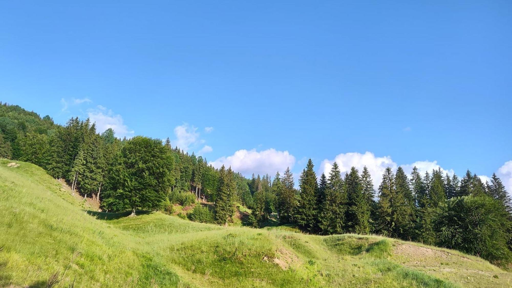 Villa Sezatoarea Lupilor Lepşa Esterno foto